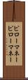 ピローマネー Scroll