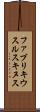 ファブリキウスルスキヌス Scroll