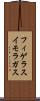 フィゲラスイモラガス Scroll