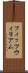 フィッツウィリアム Scroll