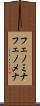 フェノミナ Scroll