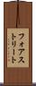 フォアストリート Scroll
