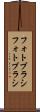 フォトブラシ Scroll