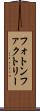 フォトン・ファクトリー Scroll