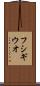 フシギウオ Scroll
