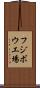 フジボウ工場 Scroll