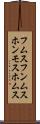 フムス Scroll