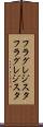 フラグレジスタ Scroll