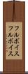 フルボイス Scroll