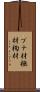 ブナ材 Scroll