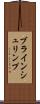 ブラインシュリンプ Scroll