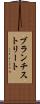ブランチストリート Scroll