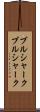ブルシャーク Scroll