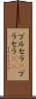 ブルセラ(P) Scroll