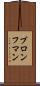 ブロンフマン Scroll