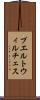 プエルトウィルチェス Scroll