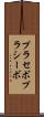 プラセボ Scroll