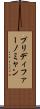 プリディファーノミャン Scroll