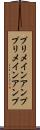 プリメインアンプ Scroll