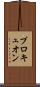 プロキュオン Scroll