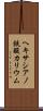 ヘキサシアノ鉄酸カリウム Scroll