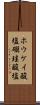 ホウケイ酸塩 Scroll