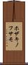 ホザキノフサモ Scroll