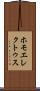 ホモ・エレクトゥス Scroll