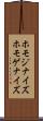 ホモジナイズ Scroll