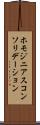 ホモジニアスコンソリデーション Scroll