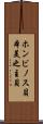 ホンビノス貝 Scroll