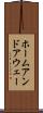 ホームアンドアウェー Scroll
