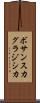 ボサンスカグラジシカ Scroll