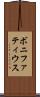 ボニファティウス Scroll