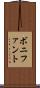 ボニファント Scroll