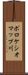ポロケシオマップ川 Scroll