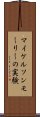 マイケルソンモーリーの実験 Scroll