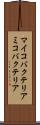 マイコバクテリア Scroll