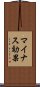 マイナス効果 Scroll