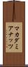 マカダミアナッツ Scroll