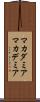 マカダミア Scroll