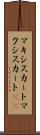 マキシスカート Scroll