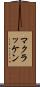 マクラッケン Scroll