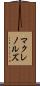 マクレノルズ Scroll