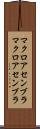 マクロアセンブラ Scroll