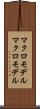 マクロモデル Scroll