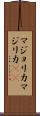 マジョリカ Scroll