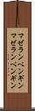 マゼランペンギン Scroll