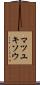 マツユキソウ Scroll