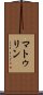 マトゥリン Scroll